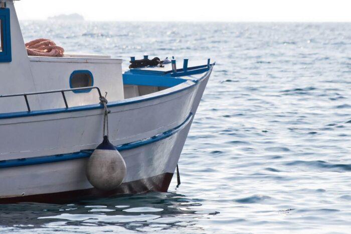 Giornata della pesca: Golfo di Napoli e Salerno